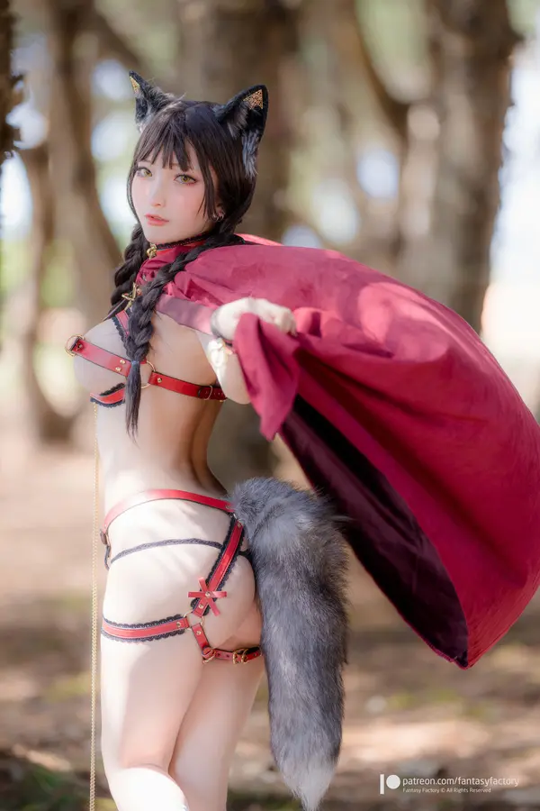 小丁Ding《Porn Little Red Riding Hood》（24P）（4/24）