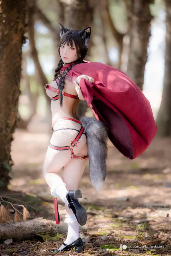 小丁Ding《Porn Little Red Riding Hood》（24P）（5/24）