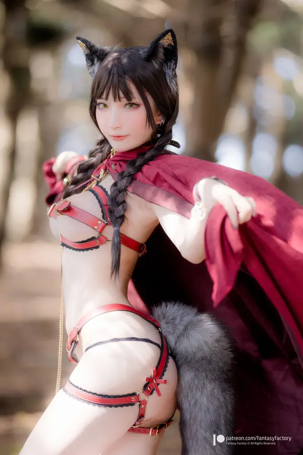 小丁Ding《Porn Little Red Riding Hood》（24P）（6/24）